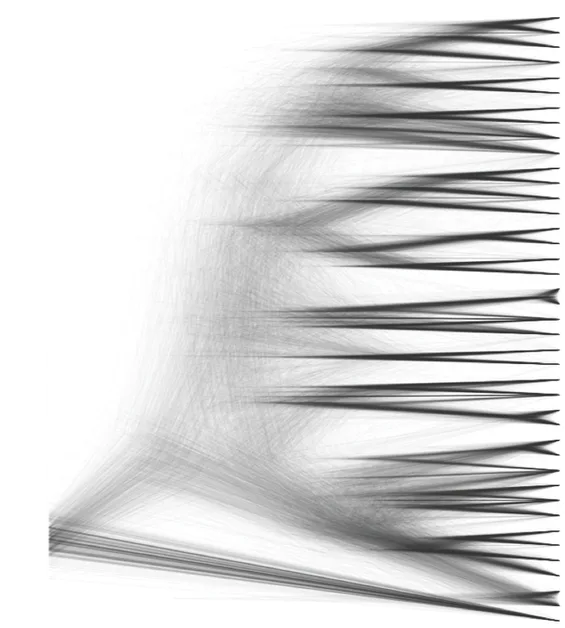 Cloudogram of Amaranthaceae s.l.