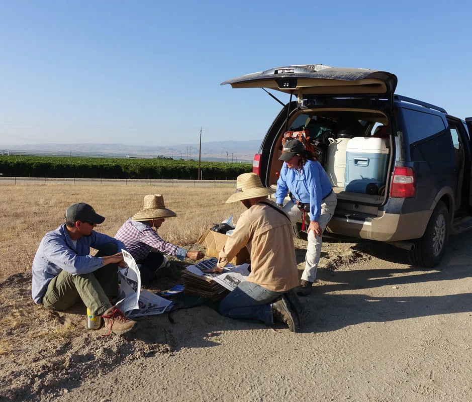 Pressing specimens during Caryophyllales field work in California