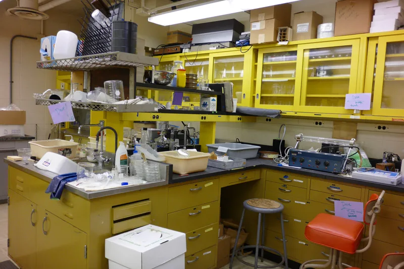 Old lab pic 1