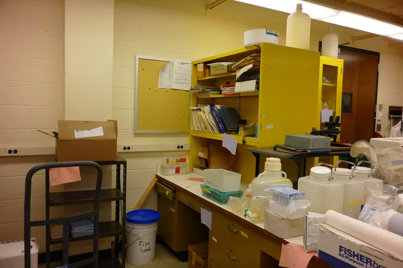 Old lab pic 2