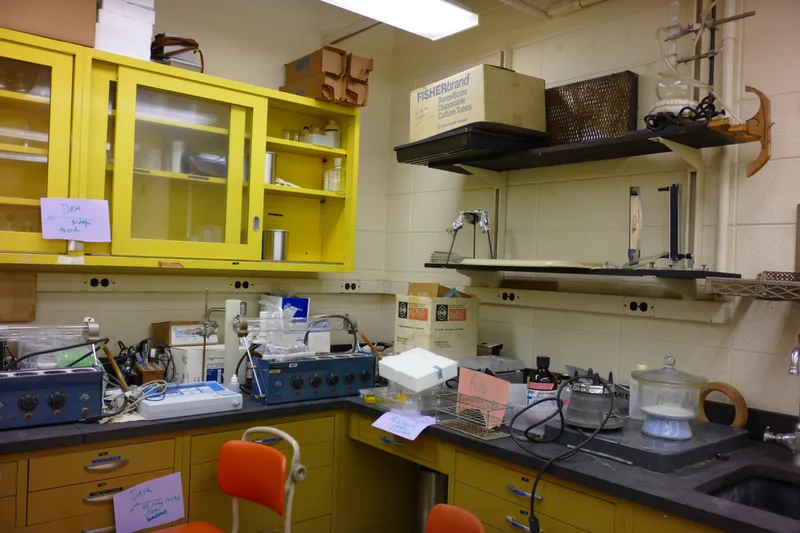 Old lab pic 4