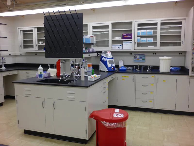 New lab picture after renovation 2