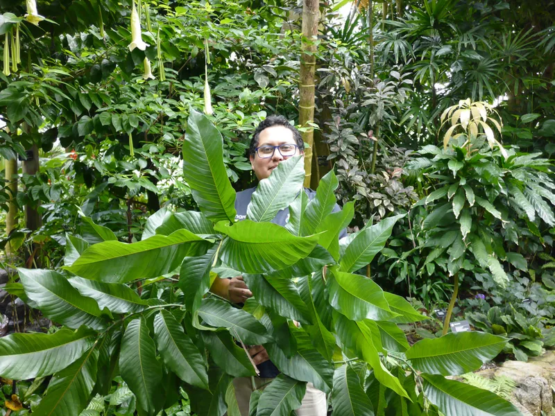 Diego with a branch of Triplaris
